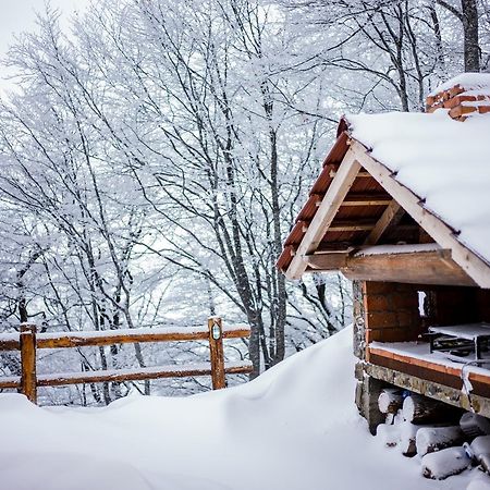 Holiday Home Floris Kopaonik Esterno foto
